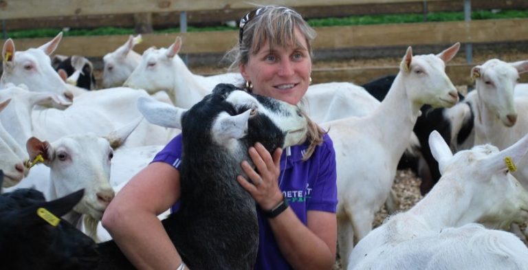 Oete’s goats have own beautician