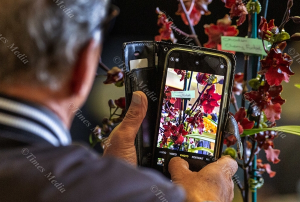 South Auckland Orchid Show 2023