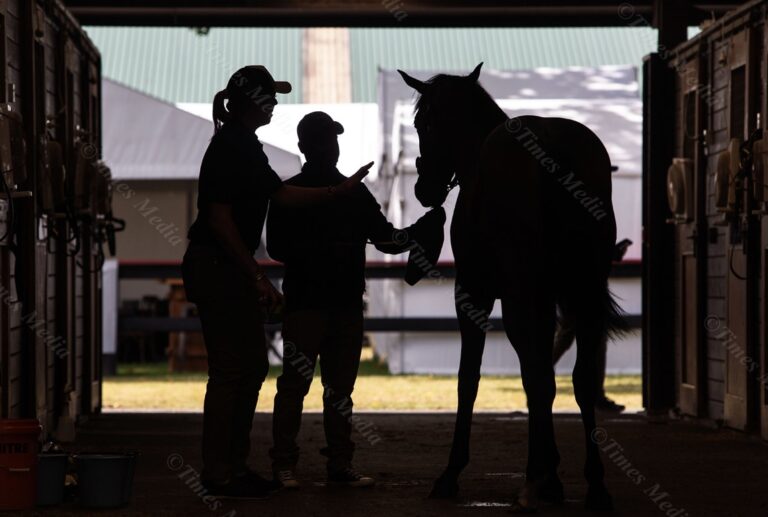 National Yearling Sales 2024