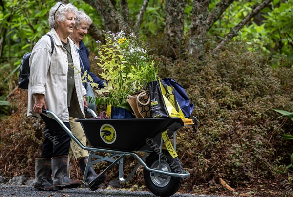 Ayrlies Plant Fair 2024